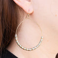 Load image into Gallery viewer, Lustrous Pailette Hoops
