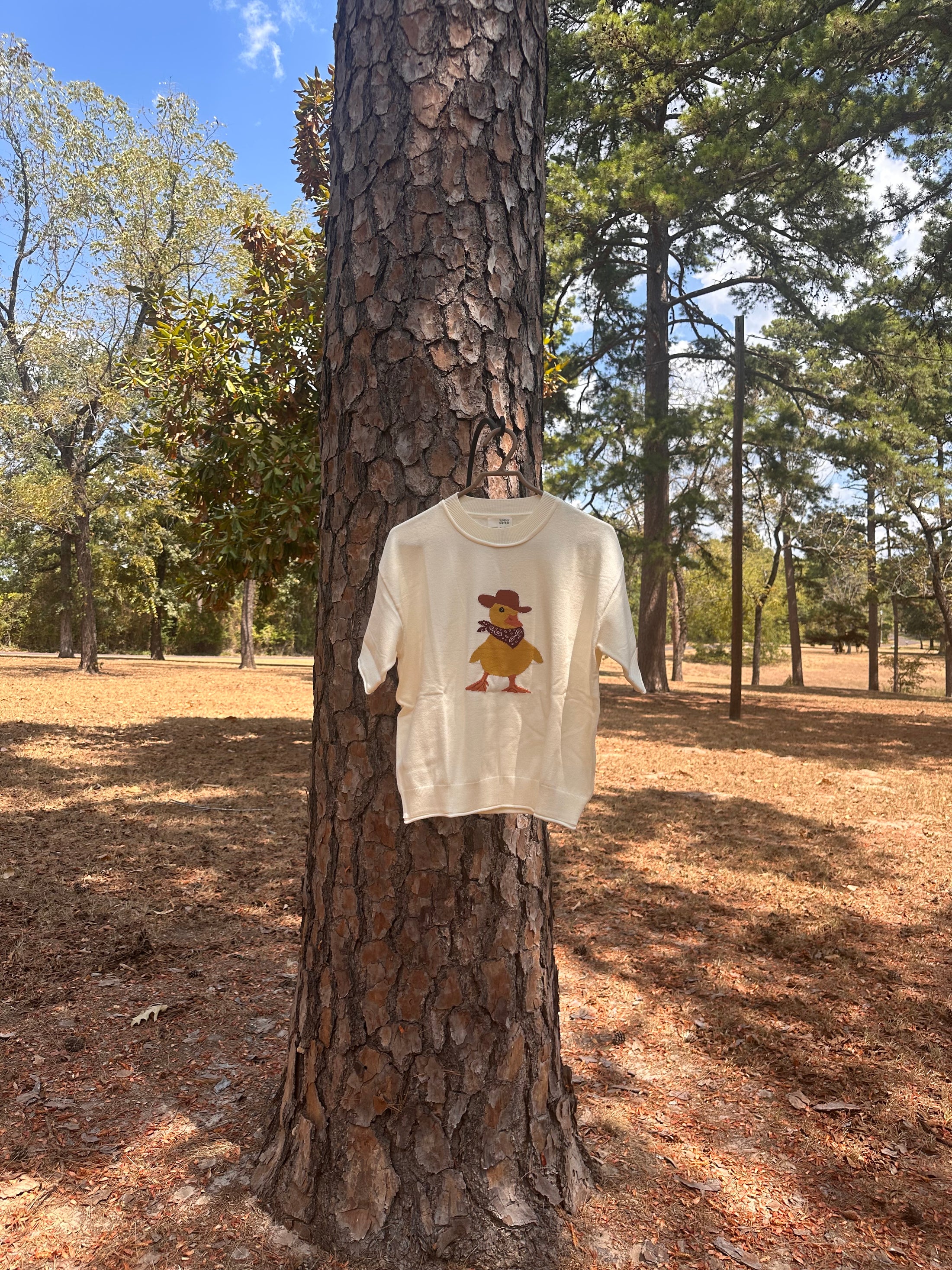 Cowboy Duck Sweater